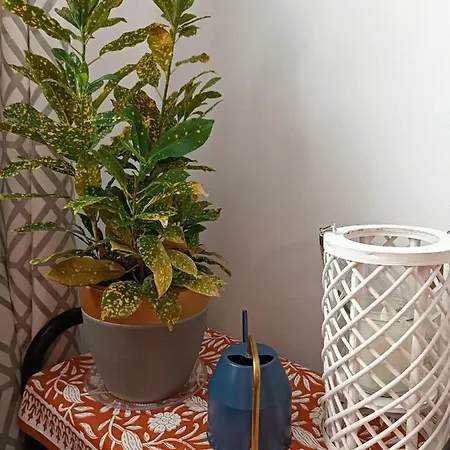 Centro. Bahia. Estaciones. Appartement *