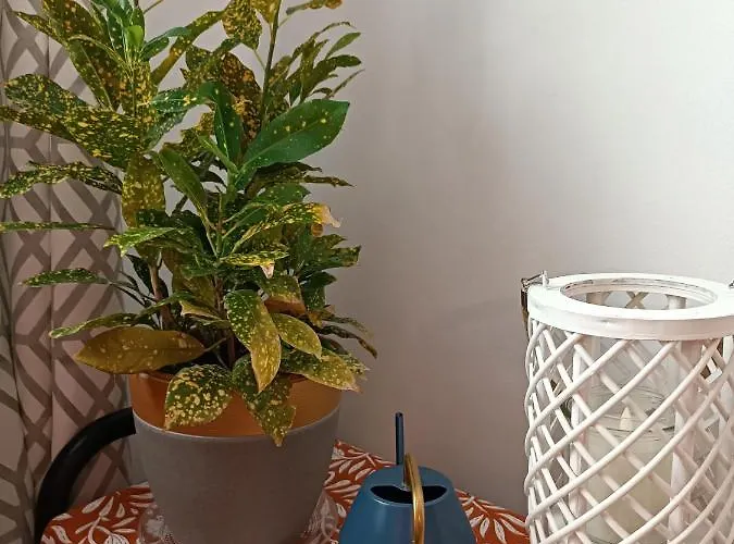 Centro. Bahia. Estaciones. Apartment *